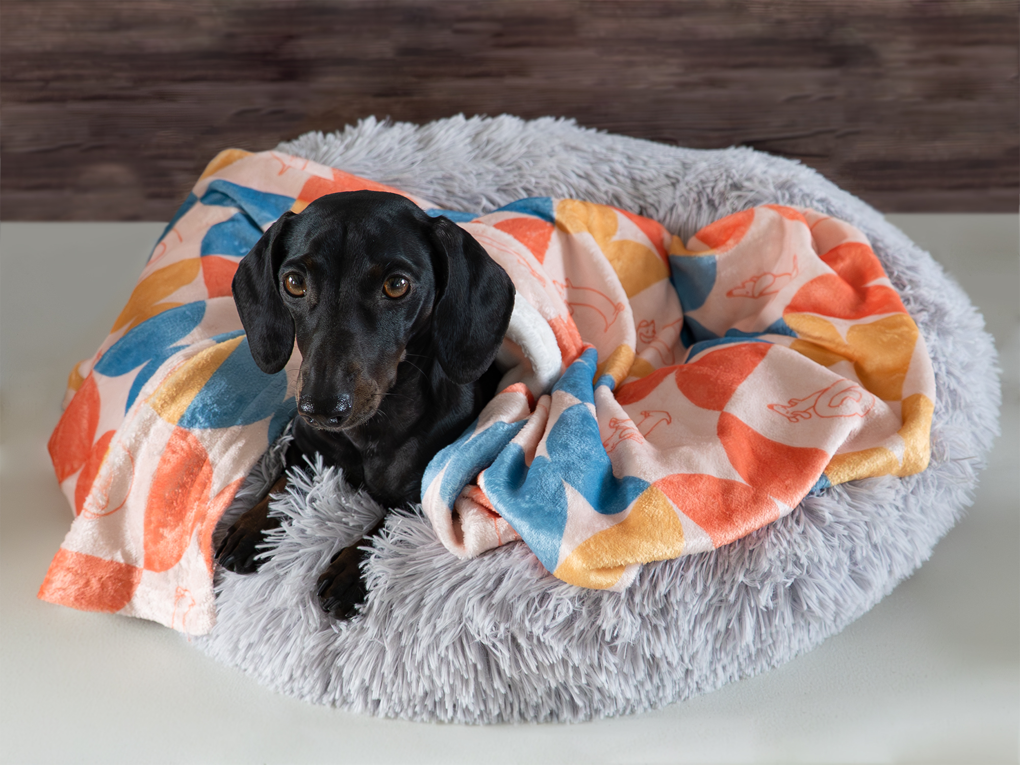 Kuscheldecke mit Retro-Dackelprint – Bild 8