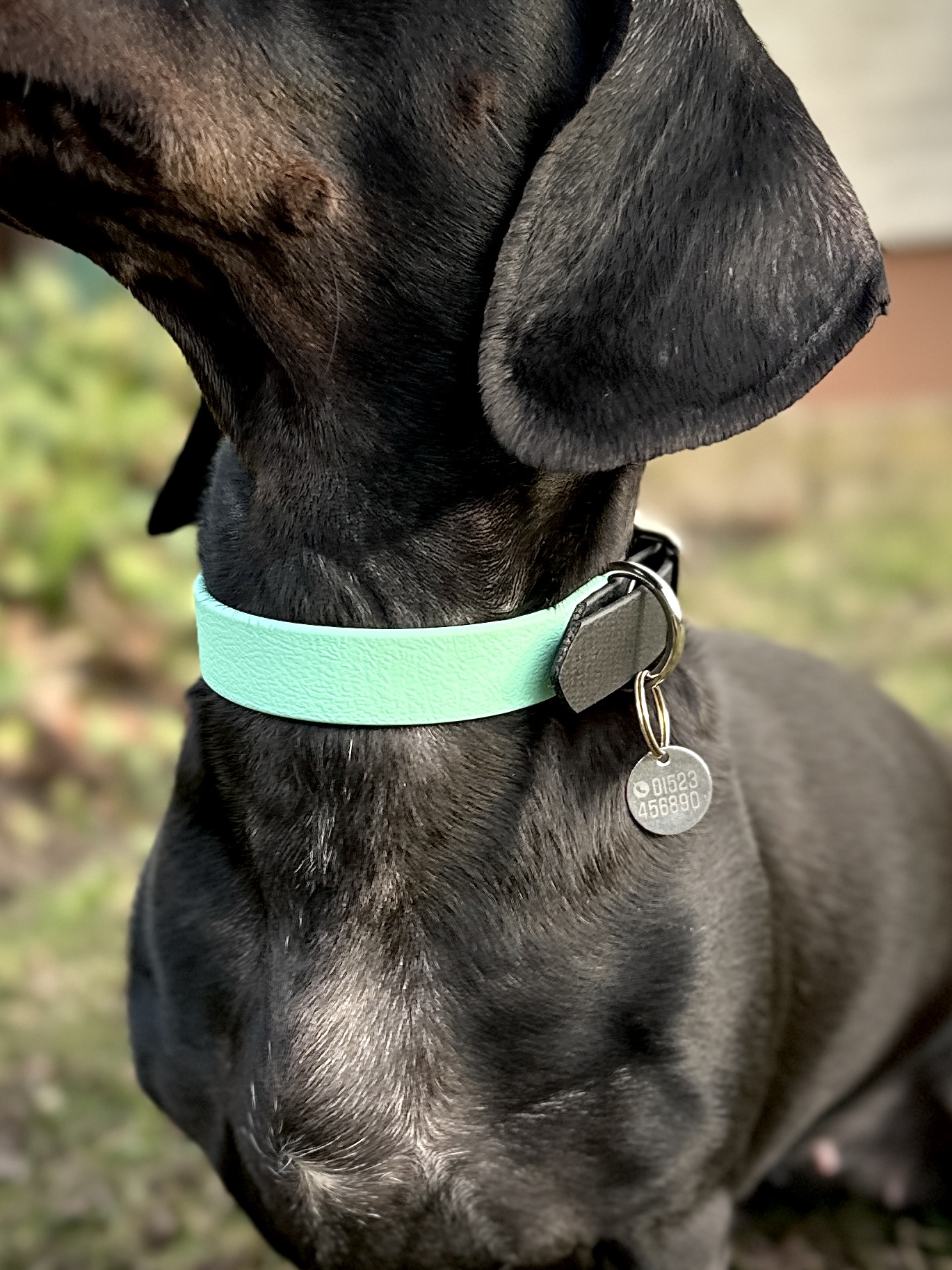 Gravierte Hundemarke – Bild 10