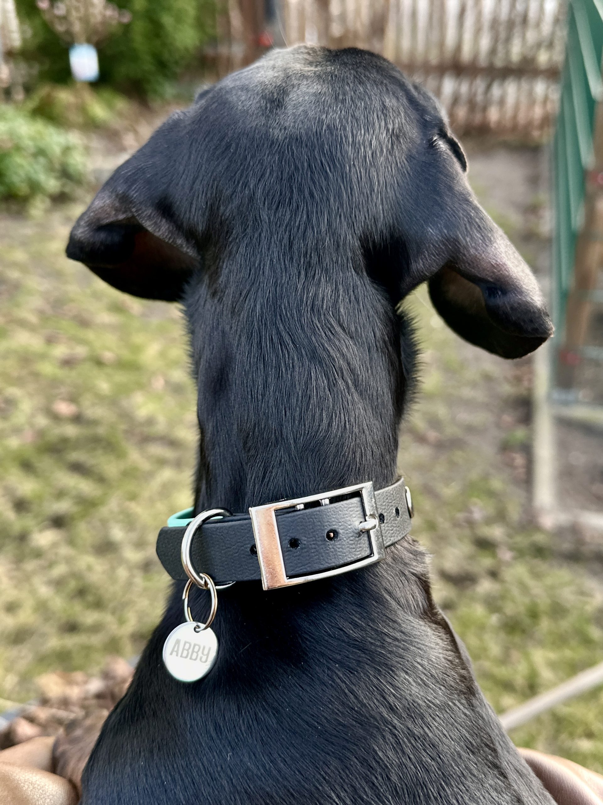 Gravierte Hundemarke – Bild 9