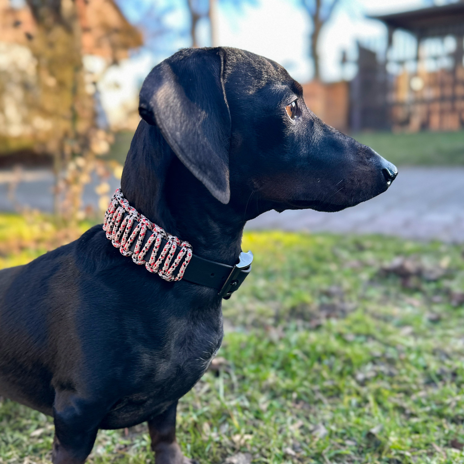 BioThane® & Paracord Halsband „Wilma“ – Bild 14