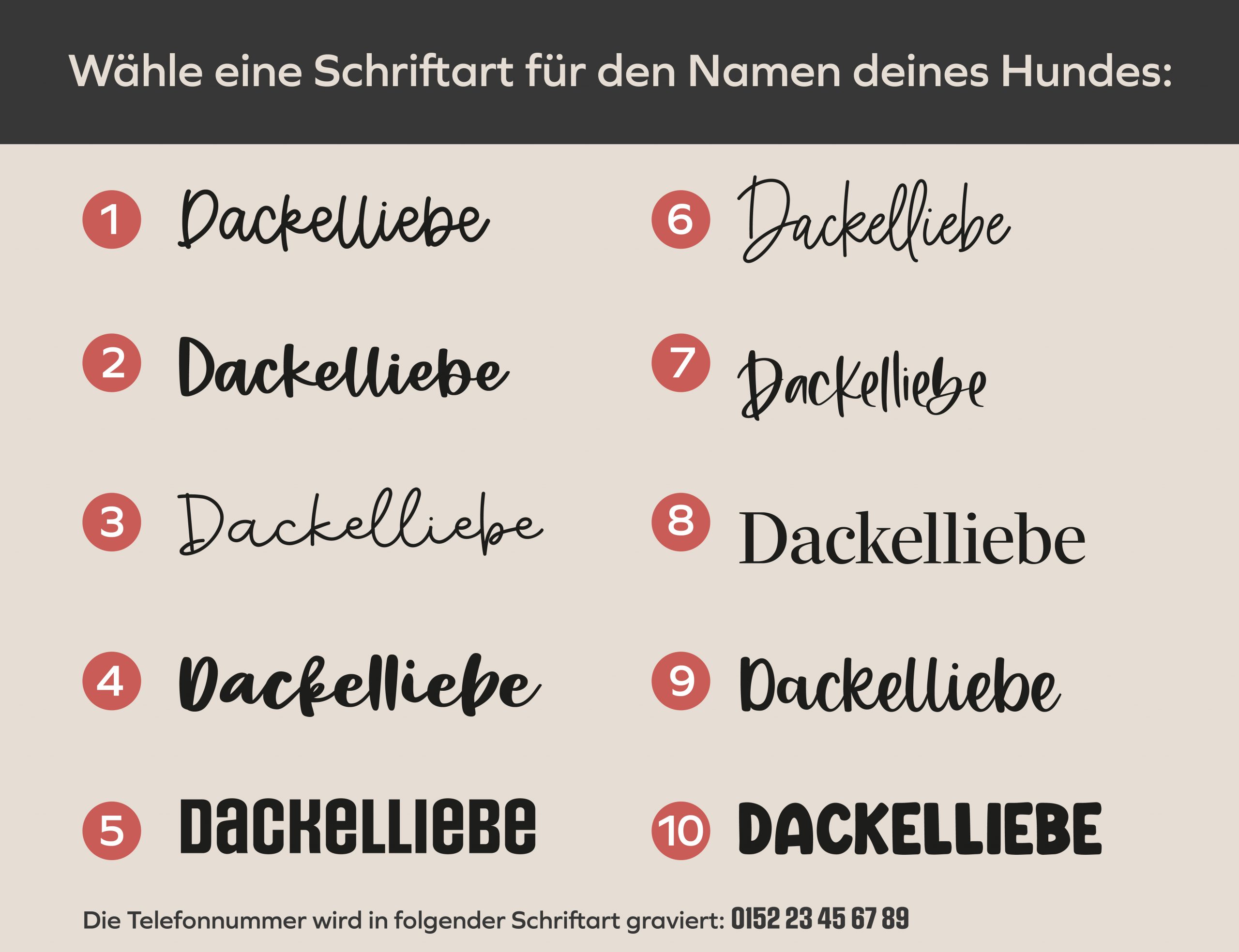 Gravierte Hundemarke – Bild 11