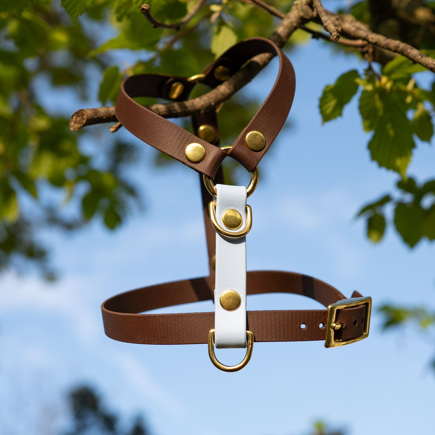 BioThane® Hundegeschirr „Lotti“ – Bild 3