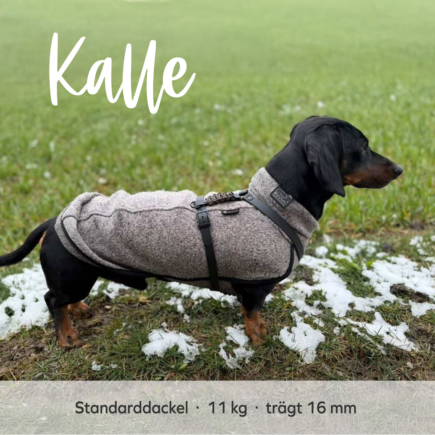 BioThane® & Paracord Hundegeschirr „Wilma“ – Bild 6